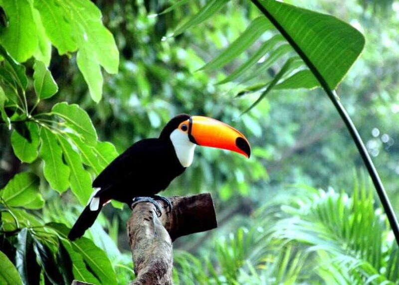 Guangzhou Popular Restaurant Reservation: Skip the Queue - Who Should Consider This Service?