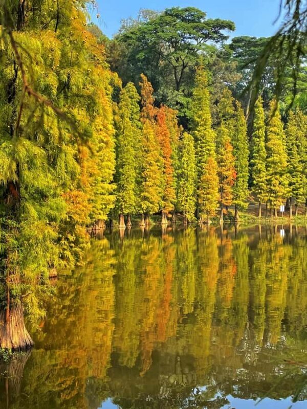 Guangzhou to Foshan Sanshui: Ancient Village, Creative Block - Good To Know