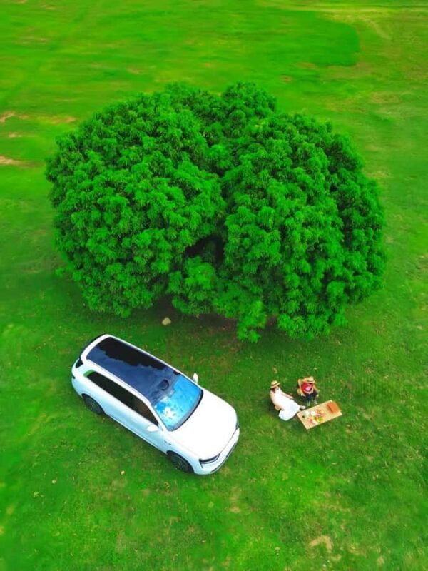 Guangzhou to Foshan Sanshui: Ancient Village, Creative Block - Exploring Foshan Sanshui: A Day Trip Full of Culture, Nature, and Creativity