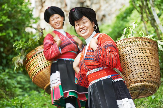 Guangzhou to Gullin, Yangshuo 4-Day Private Bullet Train Tour (Feb ) - Tour Itinerary Highlights