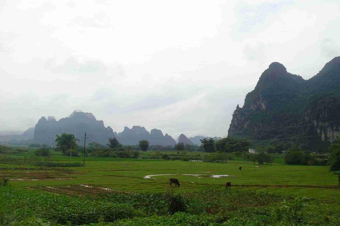 Guangzhou to Yingxi Corridor and Cave Fairland Private Day Tour - Pricing Details