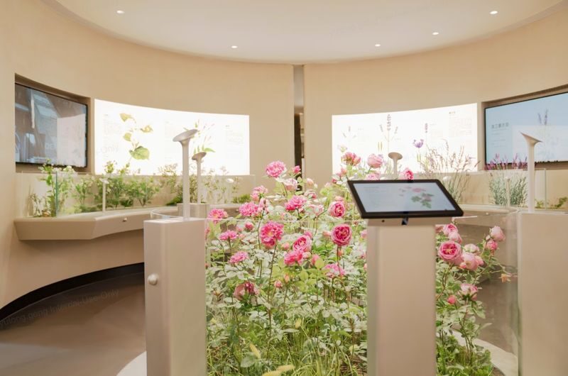 Guangzhou Xuelei Fragrance Museum - How Long to Stay and When to Go