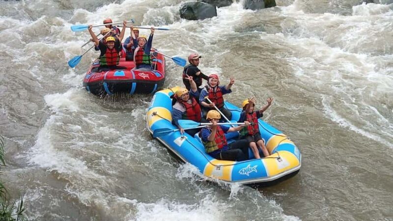 Guarantee Borobudur Temple Structure & Elo Rafting. - Introduction: A Day of History and Adventure in Java