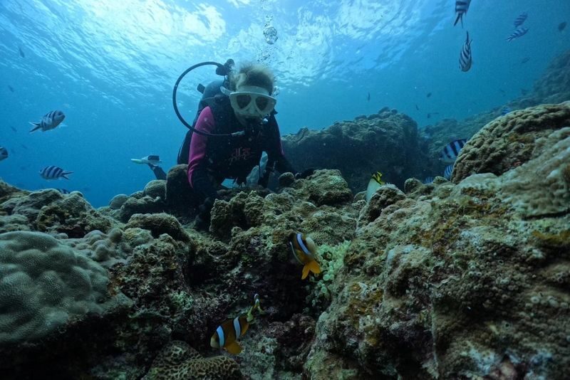 Guaranteed Blue Cave Diving & Snorkeling Experience (Okinawa) - Price and the extra costs to budget for