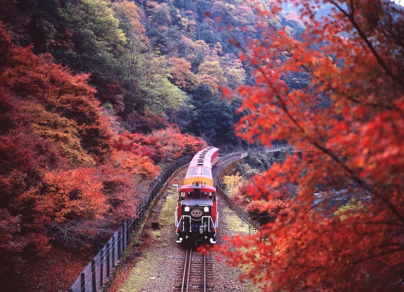 Guaranteed: Kyoto Sagano Train, Hozugawa Boat & Arashiyama Walk - Five useful things to know before you go