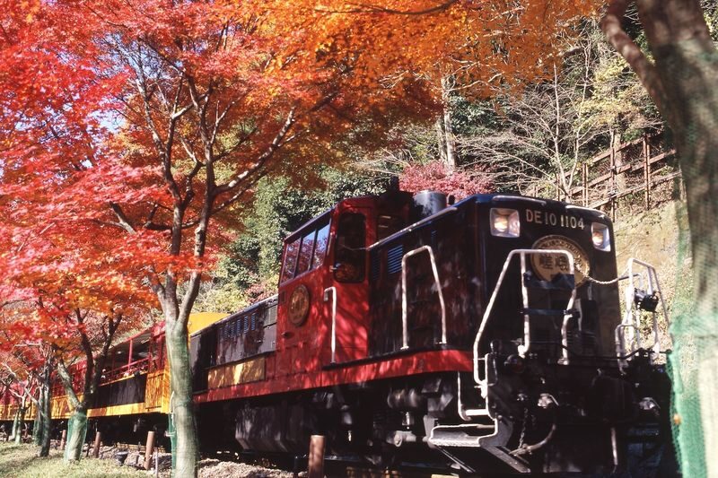 Guaranteed: Kyoto Sagano Train, Hozugawa Boat & Arashiyama Walk - A Kyoto day built around two classic rides