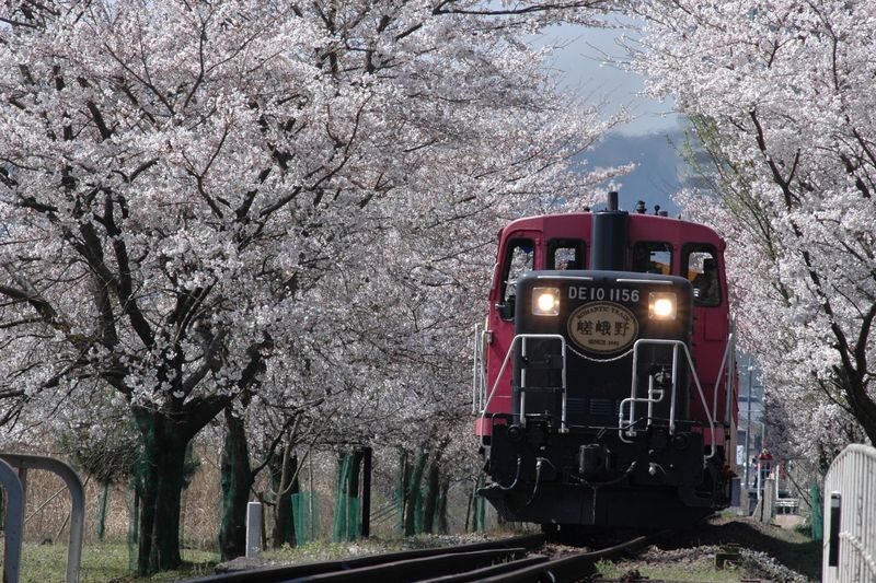 Guaranteed: Kyoto Sagano Train, Hozugawa Boat & Arashiyama Walk - The Hozugawa boat ride: the day’s main event