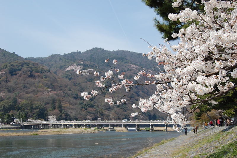 Guaranteed: Kyoto Sagano Train, Hozugawa Boat & Arashiyama Walk - What the $82.09 starting price buys