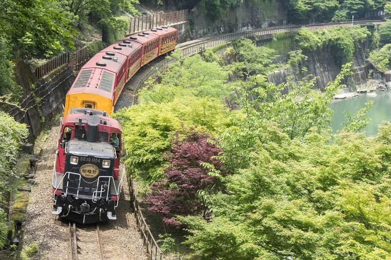 Guaranteed: Kyoto Sagano Train, Hozugawa Boat & Arashiyama Walk - Who will enjoy this day most