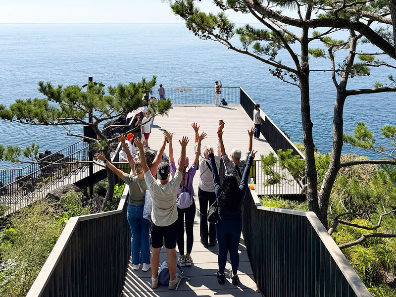 (Guaranteed Return) Jeju UNESCO Shore Excursion for Cruise Guests - Guides and the Value of a Private Route