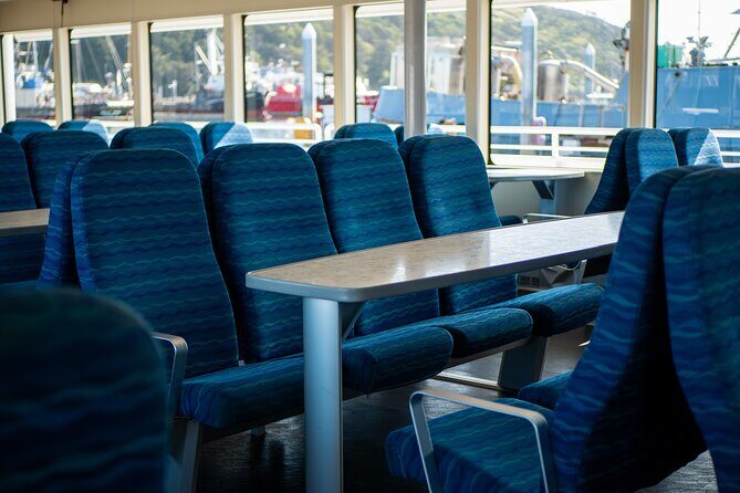 Guaranteed Whale Watch Tour from Anacortes - Who Should Consider This Tour?