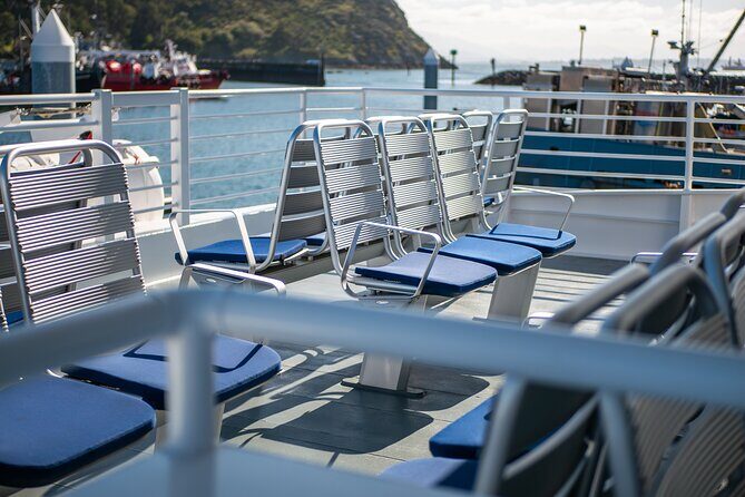 Guaranteed Whale Watch Tour from Anacortes - FAQ