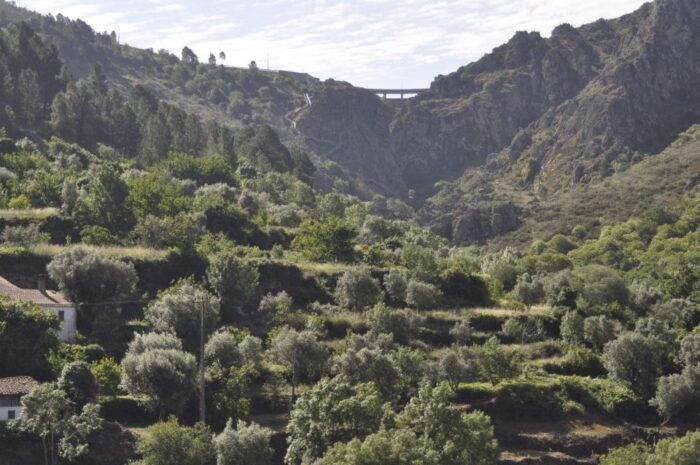 Guarda  nature walk: Tales on the Mondego Walkways - The Sum Up