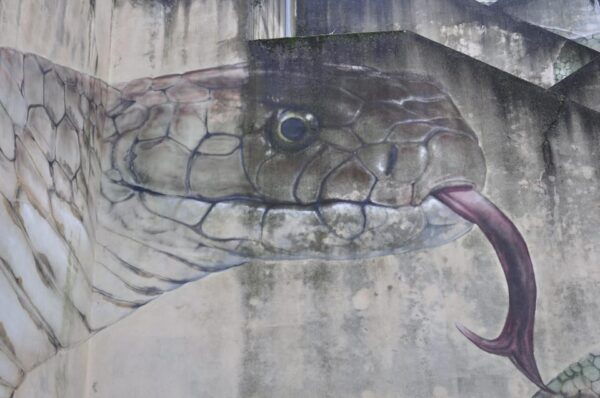 Guarda Secrets: Street Art & Hidden Histories - Free Tour - Frequently Asked Questions