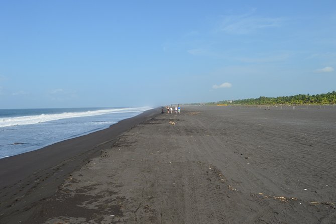 Guatemala San Jose Beach Private Tour - Inclusions and Pickup Details