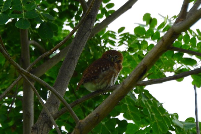 Guayaquil Mangrove Tour and Chocolate Experience (Feb ) - Cancellation Policy