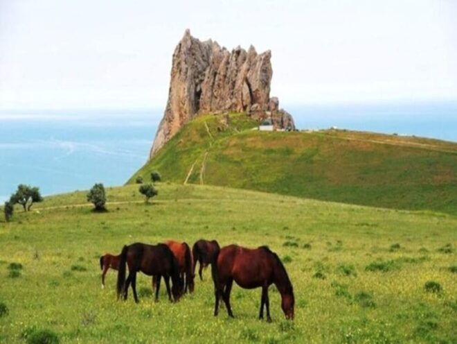 Guba-Khinalig Tour - Transportation and Stops