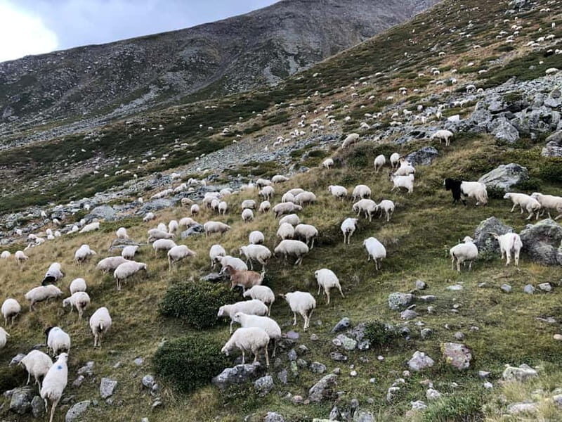 Gudauri and Kazbegi: Private Day Trip from Tbilisi - What You Can Expect from This Day Trip