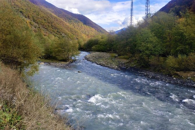 Gudauri Tour With Sabaduri Forest, Ananuri, Panorama Gudauri - Traveler Experiences