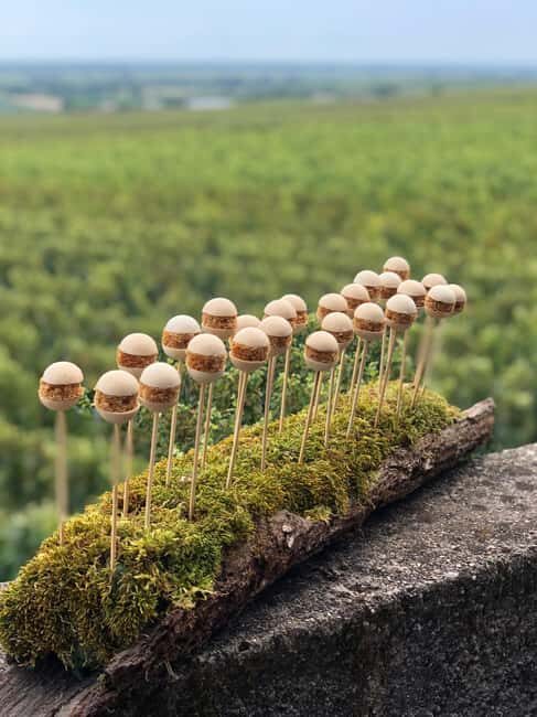 Gueberschwihr: wine tasting course with 12 wines and 5 appetizers - Good To Know