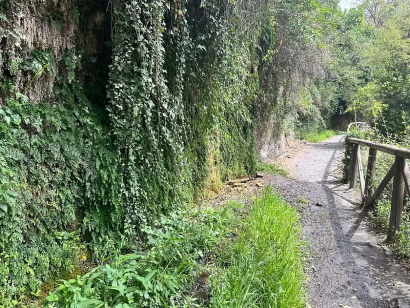 Güejar Sierra: History and food of Sierra Nevada - Final Thoughts