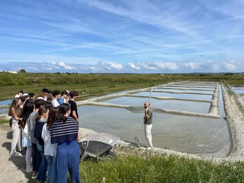 Guérande Salt Marshes tour - Starting Point and Logistics