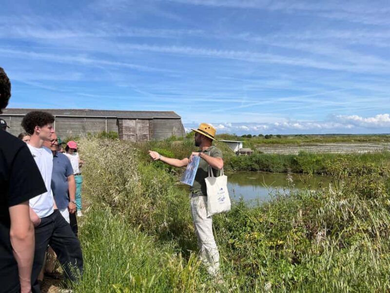 Guérande Salt Marshes tour - Salt Harvesting in Action