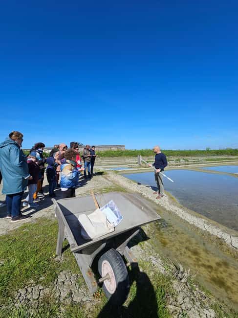 Guérande Salt Marshes tour - Tasting and Cultural Insights