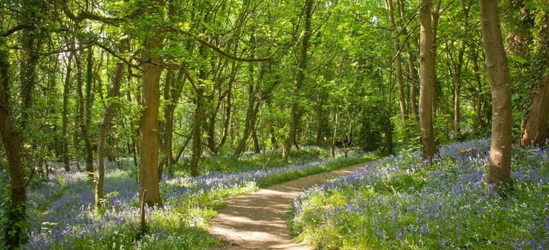 Guernsey: Half-Day Island Shore Excursion Tour - Final Thoughts