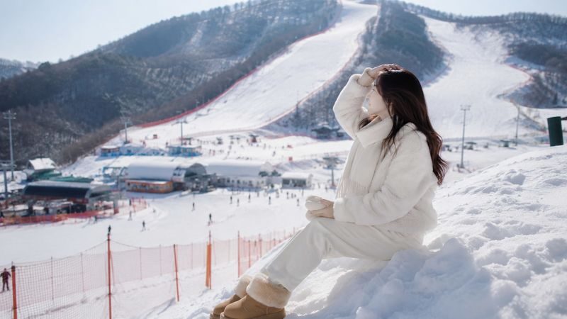 Gugok Ice Wall Adventure & Elysian Ski Day Tour from Seoul - Guides and transfers help keep the day on track