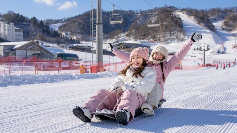 Gugok Ice Wall Adventure & Elysian Ski Day Tour from Seoul - Who will get the most from this outing