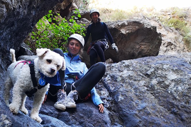 Guia De Isora Canyoning Tour From Costa Adeje  - Tenerife - Important Information for Participants