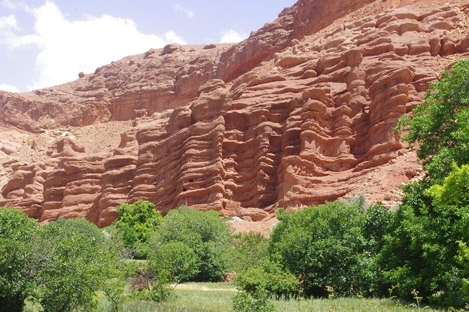 Guide for Gorges Dades, Valley of Roses and All of Morocco. - Cultural Experiences in Gorges Dades and Valley of Roses