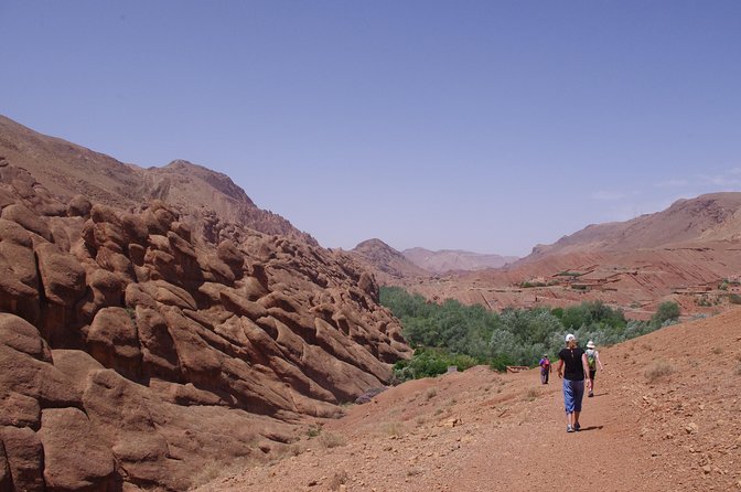 Guide for Gorges Dades, Valley of Roses and All of Morocco. - Local Cuisine and Dining Options in Gorges Dades and Valley of Roses