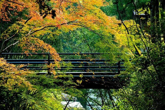 Guide tour of Japanese bathing culture at Kurama onsen - FAQ