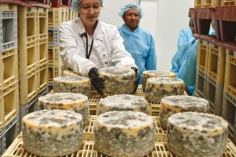 Guide Visit to the old Cheese Factory - The Sum Up