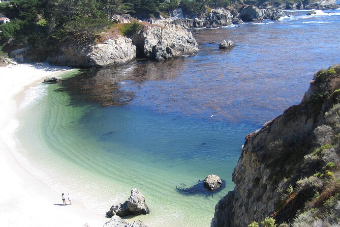 Guided 2-Hour Point Lobos Nature Walk - Inclusions and Meeting Details