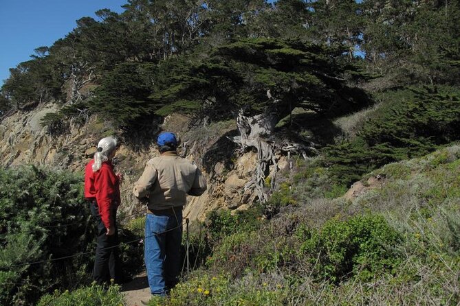 Guided 2-Hour Point Lobos Nature Walk - Meeting Time and End Point