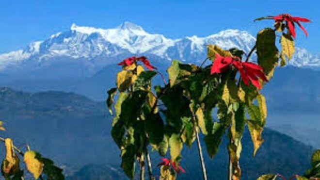 Guided 5-Hours Private Tour From Pokhara - Captivating Views of Pokhara Valley and Annapurna