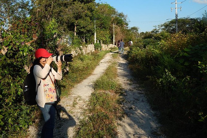 Guided 8-Day Yucatan Birding Expedition From Cancun  - Playa Del Carmen - Exploration of Towns