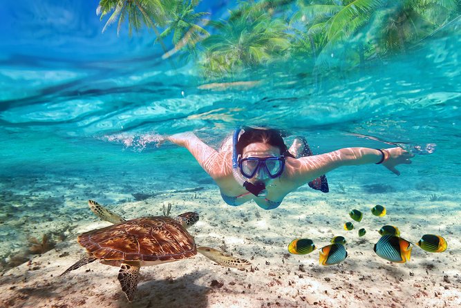 Guided 8 HR Full Day Fishing / Snorkel Private Charter Trip 40 Mega Bite - Booking Confirmation