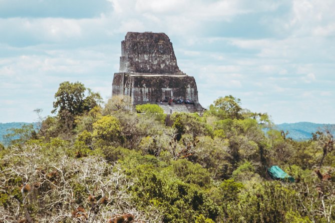 Guided All-Day Private Tour of Tikal National Park  - Flores - Tour Overview