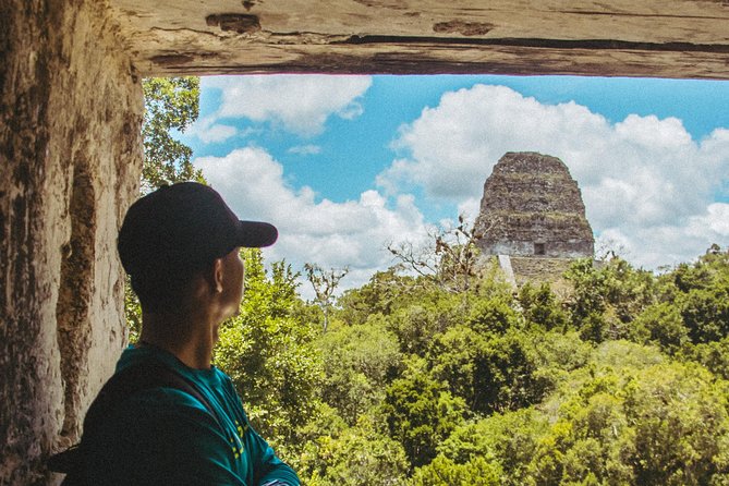 Guided All-Day Private Tour of Tikal National Park  - Flores - Itinerary Highlights