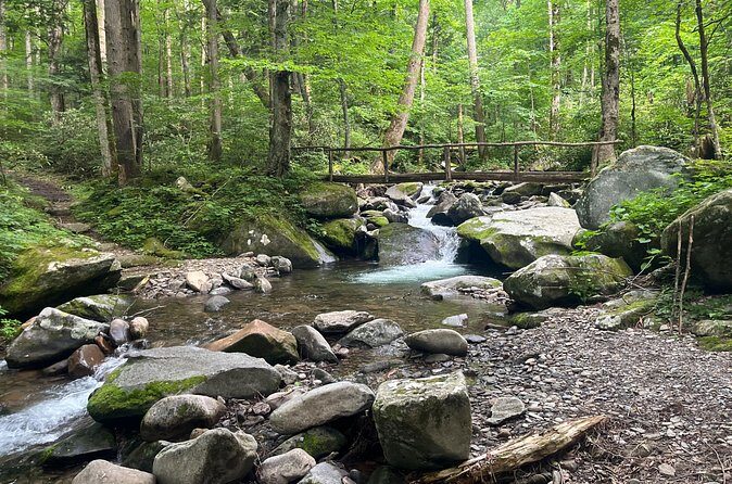 Guided Art Adventure Hikes in Great Smoky Mountains Natl Park - The Sum Up
