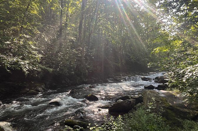 Guided Art Adventure Hikes in Great Smoky Mountains Natl Park - FAQ