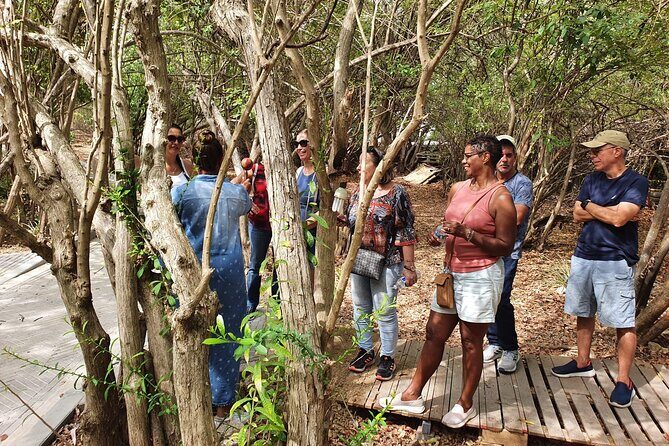 Guided Art Heritage Nature Tour - FAQ