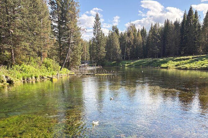 Guided ATV Tours and Explore Hidden Gems in the Yellowstone area - Introduction