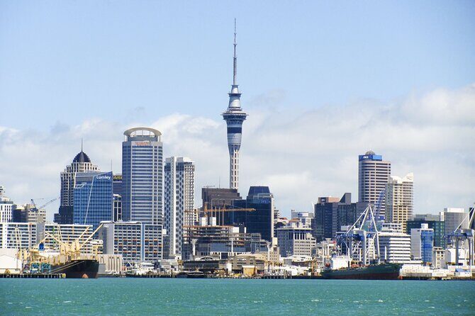 Guided Auckland Highlights Half Day City Tour - Good To Know