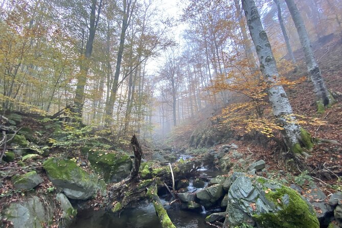Guided Balkan Deep Forest Tour - Frequently Asked Questions