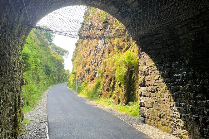 Guided Bike Ride: Exploring the Limerick Greenway - Inclusions and Pricing
